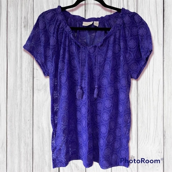 Chicos Blue Sheer Lace Blouse - Picture 1 of 8